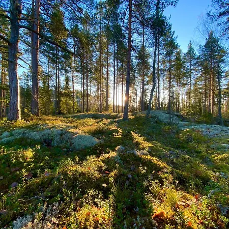 Iken Moekit * Heinola