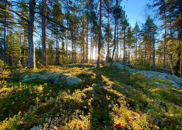 Iken Moekit * Хейнола